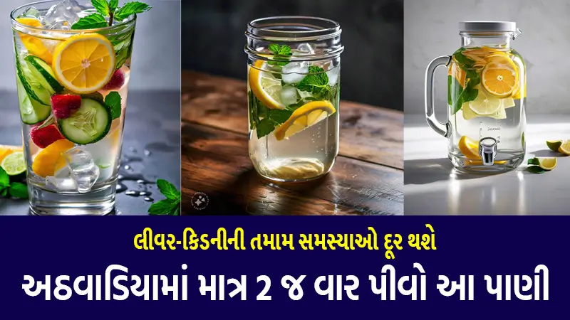 Free 30 શ્રેષ્ઠ આયુર્વેદ બુક ગુજરાતીમાં E-Book 